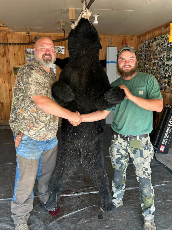 Bear Lane guide service Bear Hunting Maine